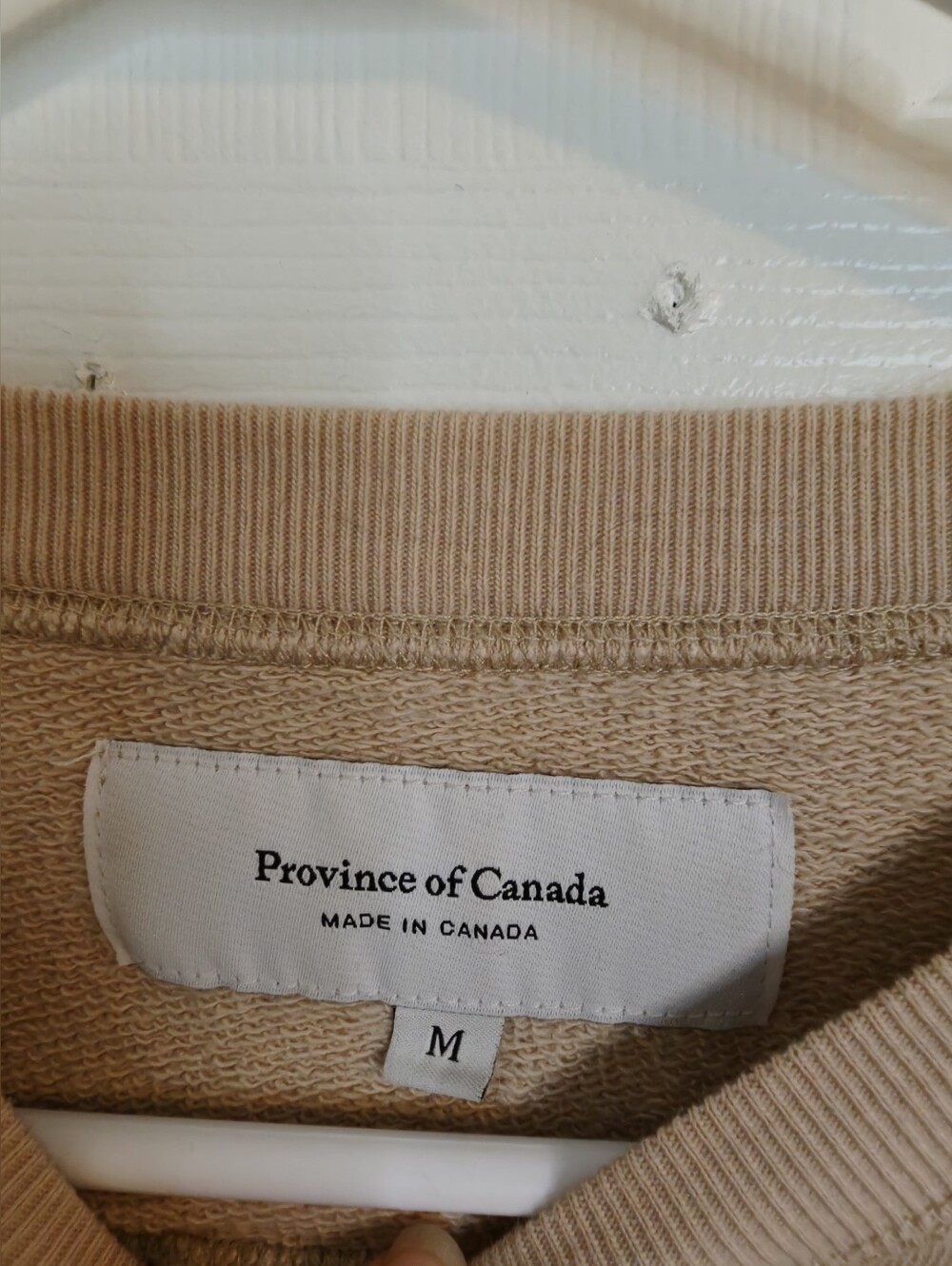 Relaxed Crewneck Sweatshirt - Cream - Picture 8 of 12